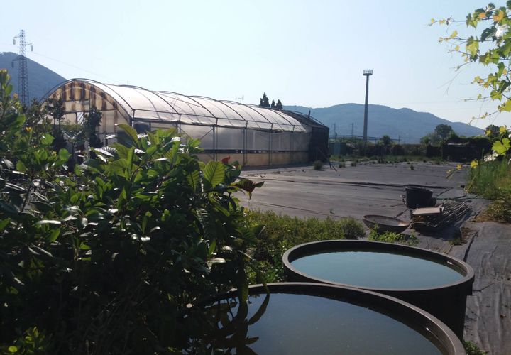 Helårsgrund i Vecchiano, Pisa, Vecchiano - € 90.000 | Ref: 2022236 - foto 1