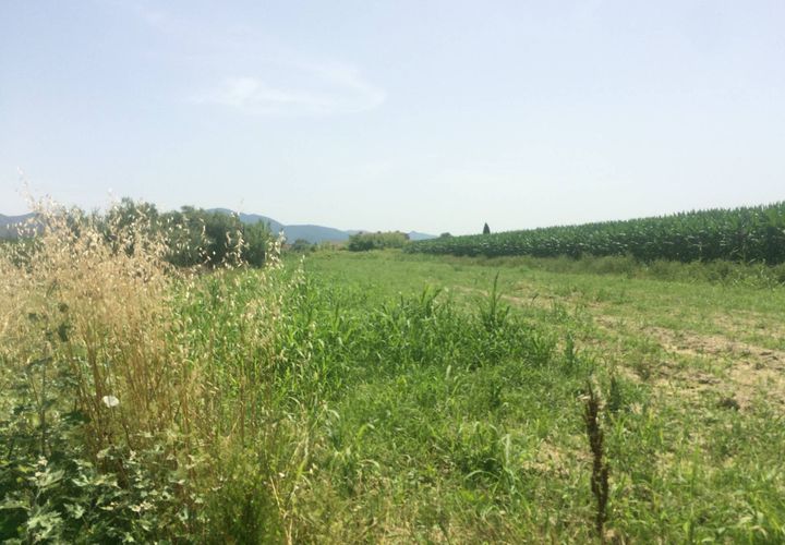 Helårsgrund i Vecchiano, Pisa, Vecchiano - € 8.000 | Ref: 2023175 - foto 1