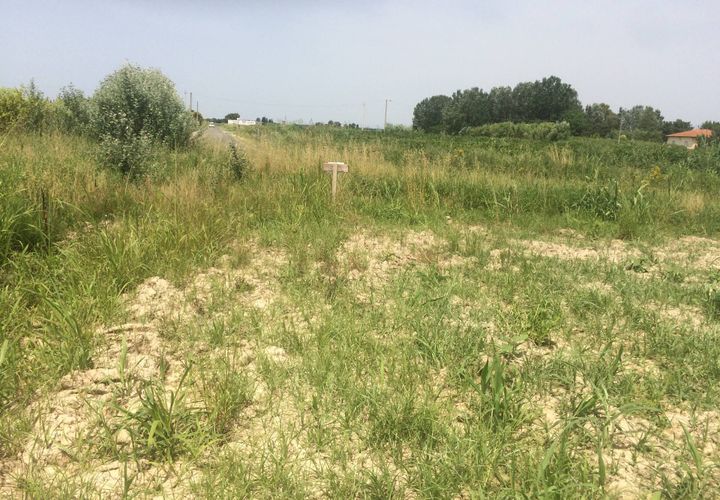 Terra a Vecchiano, Pisa, Vecchiano - € 42.000 | Ref: 2023176 - foto 1