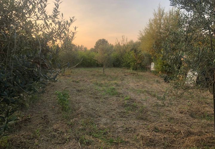 Helårsgrund i Pisa, Pisa, Pisa - € 31.000 | Ref: 2023257 - foto 1