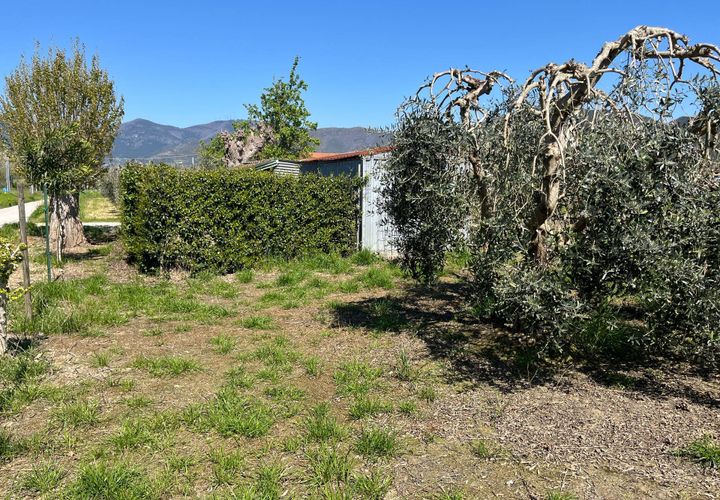 Helårsgrund i Cascina, Pisa, Cascina - € 25.000 | Ref: 2025084 - foto 1