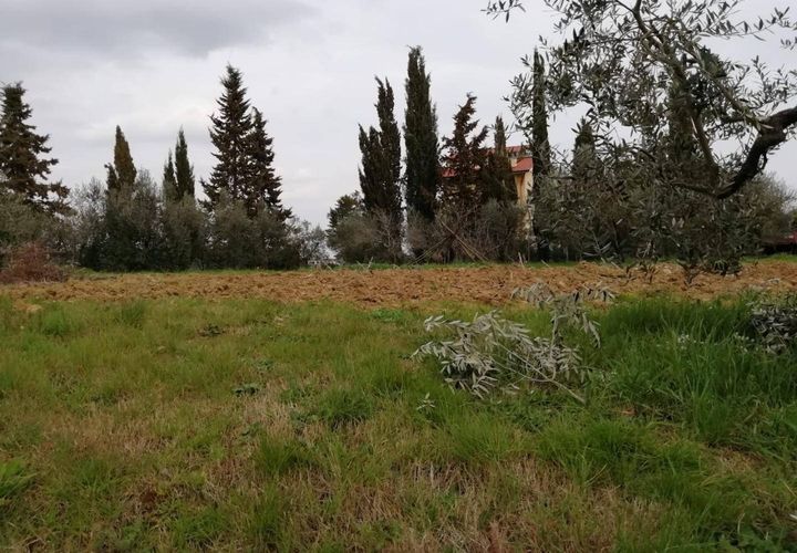 Terra a Pontedera, Pisa, Pontedera - € 180.000 | Ref: PO2021093 - foto 1