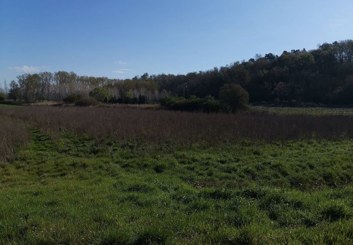 Helårsgrund i Bientina, Pisa, Bientina - € 20.000 | Ref: PO2021173 - foto 1