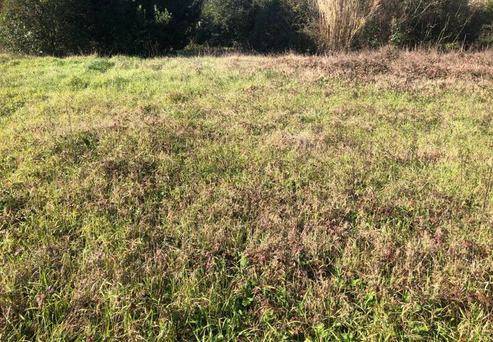 Terra a Pontedera, Pisa, Pontedera - € 155.000 | Ref: 2024P012 - foto 1