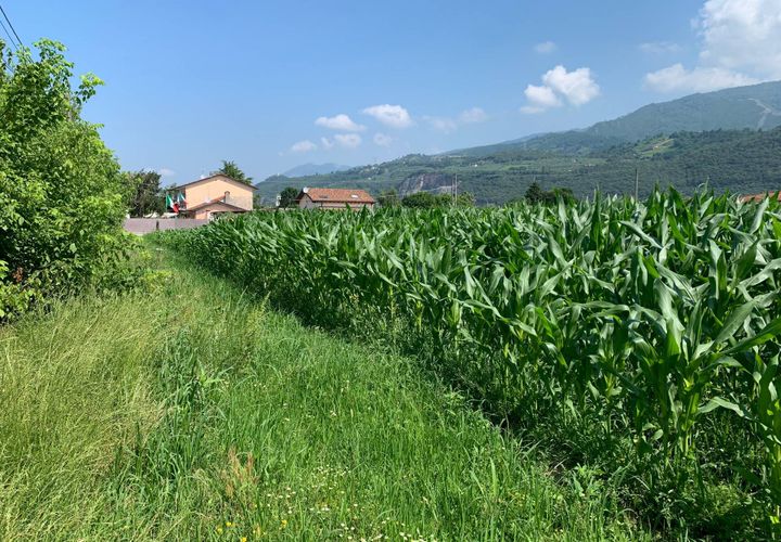 Helårsgrund i Pietrasanta, Lucca, Pietrasanta - € 100.000 | Ref: Vi2021039 - foto 1