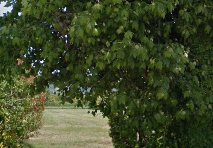 Helårsgrund i Camaiore, Lucca, Camaiore - € 100.000 | Ref: Vi2021041 - foto 1