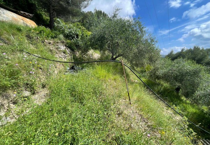 Terra a Camporosso, Imperia, Camporosso - € 45.000 | Ref: F159-1413 - foto 1