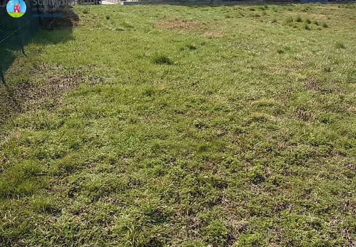 Terra a Carbonera, Treviso, Carbonera - € 70.000 | Ref: 581 - foto 1