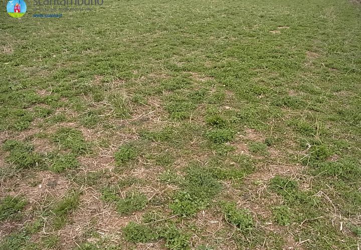 Terra a Paese, Treviso, Paese - € 140.000 | Ref: 623 - foto 1