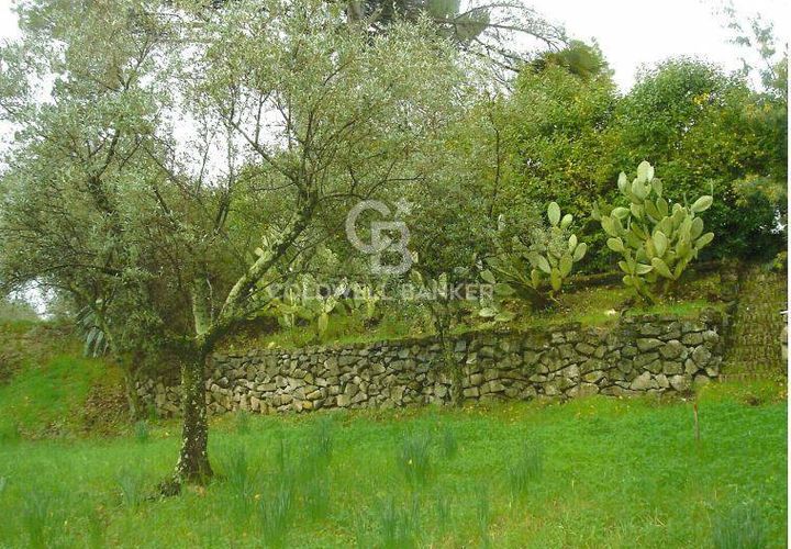 Terra a Velletri, Rome, Velletri - € 1.400.000 | Ref: CBI102-1061-10167 - foto 1