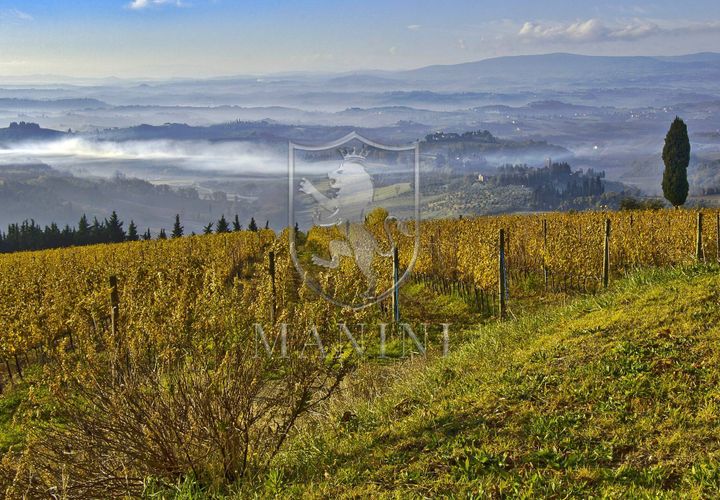 Landejendom i Certaldo, Florence, Certaldo - € 7.000.000 | Ref: 334 - foto 1