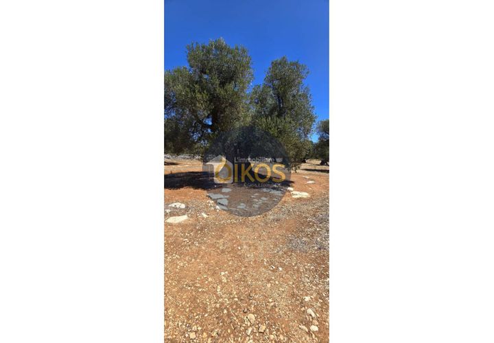Terra a Monopoli, Bari, Monopoli - € 90.000 | Ref: 149 - foto 1