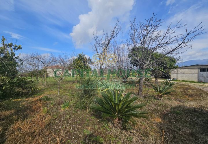 Villa a Pignataro Maggiore, Caserta, Pignataro Maggiore - € 78.000 | Ref: 78000indipendente - foto 1