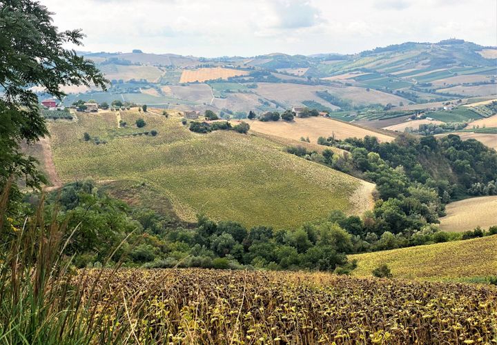 Terra a Carassai, Ascoli Piceno, Carassai - € 80.000 | Ref: V891 - foto 1