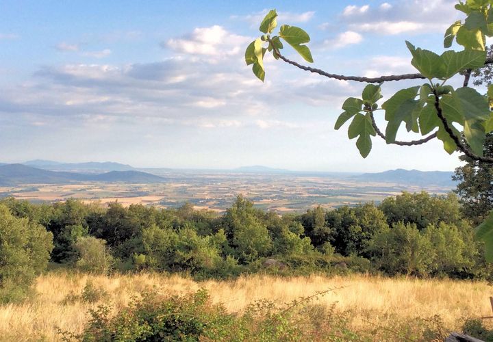 Landejendom i Roccastrada, Grosseto, Roccastrada - € 225.000 | Ref: 575 - foto 1