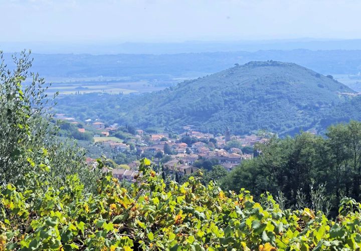 Landejendom i Buti, Pisa, Buti - € 695.000 | Ref: 1565 - foto 1