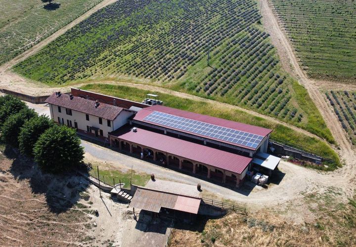 Farm i Carpeneto, Alessandria, Carpeneto - € 700.000 | Ref: 14773 - foto 1