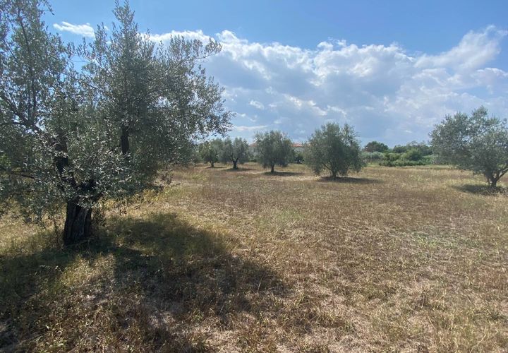 Tomt i Fermo, Fermo, Fermo - € 55 000 | Ref: MG2186 - foto 1