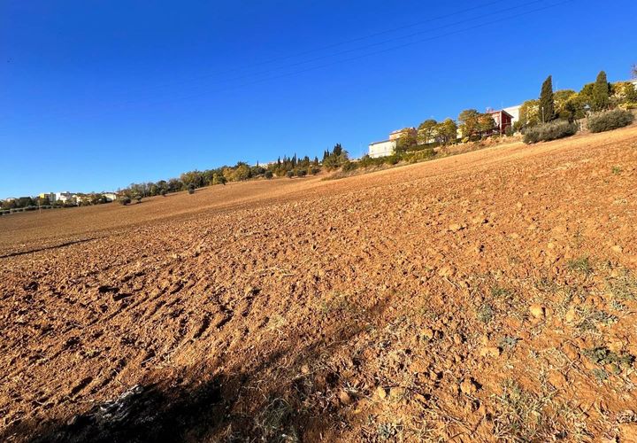 Terra a Monte Urano, Fermo, Monte Urano - € 43.000 | Ref: MG2195 - foto 1