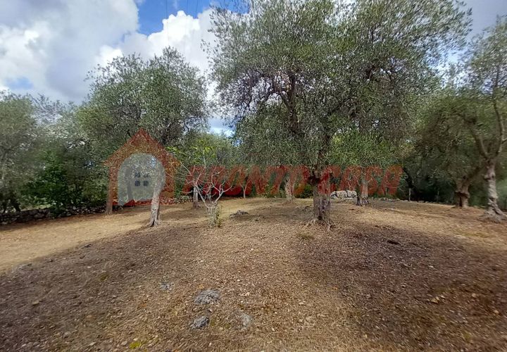 Terra a Ischitella, Foggia, Ischitella - € 11.000 | Ref: V000735 - foto 1