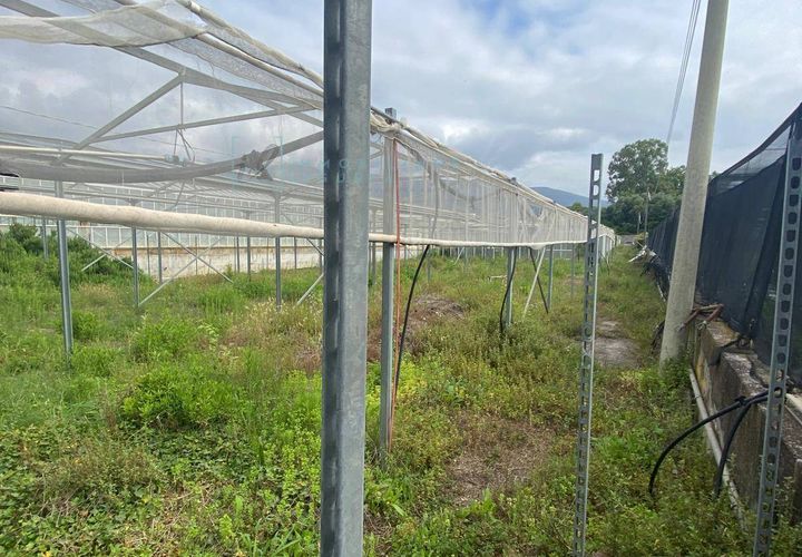 Terra a Albenga, Savona, Albenga - € 80.000 | Ref: 832 - foto 1