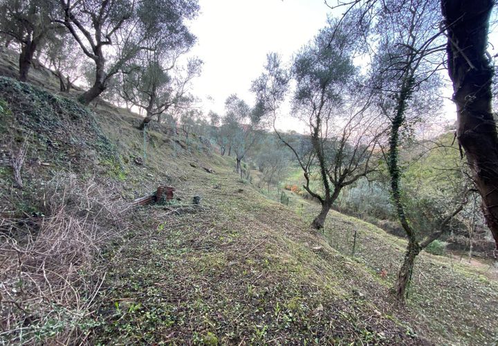 Helårsgrund i Albenga, Savona, Albenga - € 60.000 | Ref: 856 - foto 1