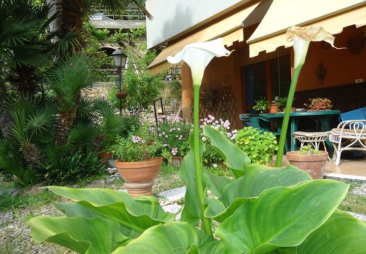 Lejlighed i Sanremo, Imperia, Sanremo - € 280.000 | Ref: V1159 - foto 1