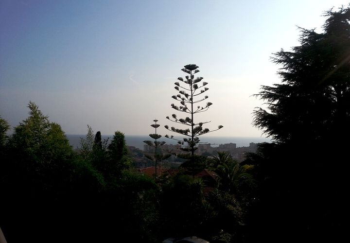 Villa i Bordighera, Imperia, Bordighera - € 2.500.000 | Ref: V1326 - foto 1