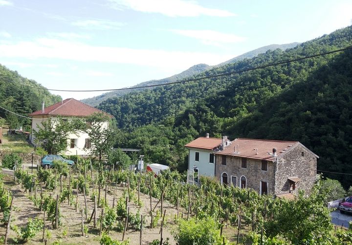 Villa i Badalucco, Imperia, Badalucco - € 230.000 | Ref: V2265 - foto 1