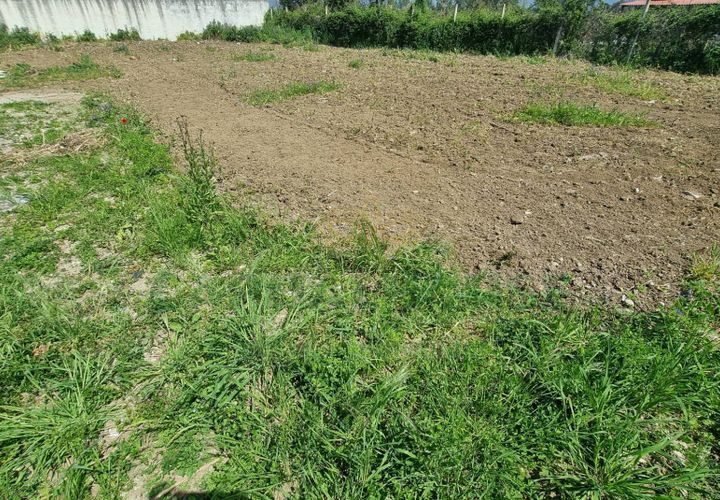Terra a Marcianise, Caserta, Marcianise - € 73.000 | Ref: 73MR25 - foto 1