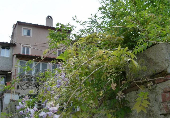 Landejendom i Lucca, Lucca, Lucca - € 156.000 | Ref: 1099 - foto 1