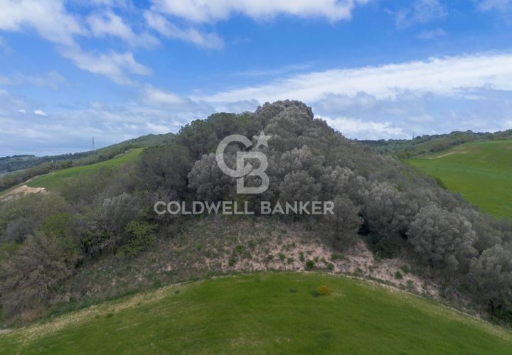 Terra a Tuscania, Viterbo, Tuscania - € 165.000 | Ref: CBI018-703-43692 - foto 1