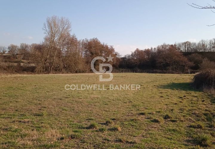 Terra a Nepi, Viterbo, Nepi - € 25.000 | Ref: CBI034-30-106 - foto 1