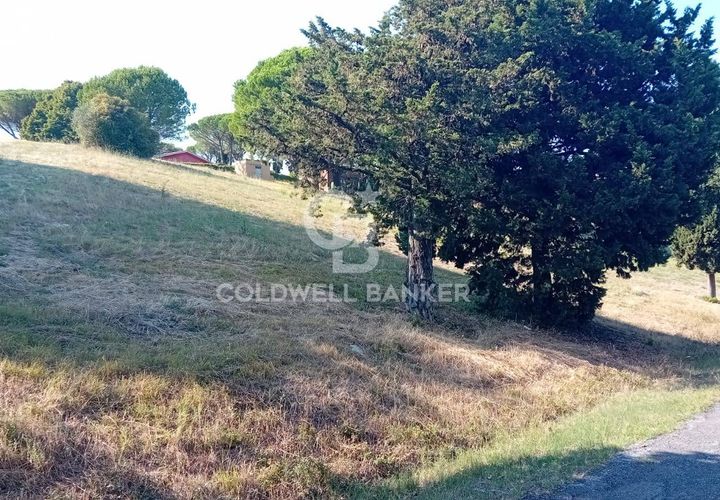 Terra a Sutri, Viterbo, Sutri - € 30.000 | Ref: CBI034-30-200 - foto 1