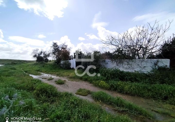 Helårsgrund i Castro Verde, Beja, Castro Verde - € 50.000 | Ref: 333/T/01400 - foto 1