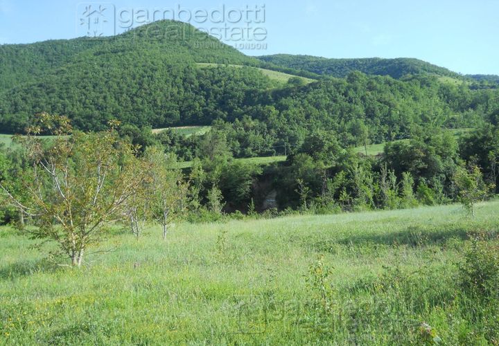 Terra a Acqualagna, Pesaro and Urbino, Acqualagna - € 198.000 | Ref: 0510 - foto 1