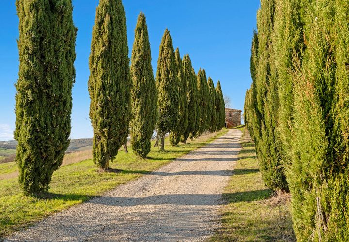 Landejendom i Trequanda, Siena, Trequanda - € 3.800.000 | Ref: CBI129-1110-130235 - foto 1