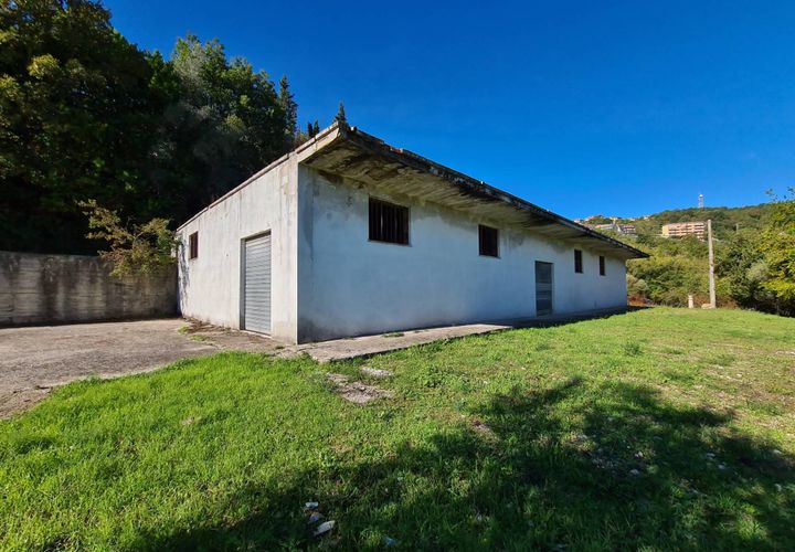 Terra a Torchiara, Salerno, Torchiara - € 125.000 | Ref: 12 - foto 1