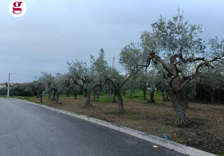 Helårsgrund i Vasto, Chieti, Vasto - € 99.000 | Ref: IM202260 - foto 1