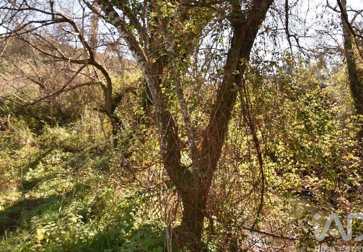 Terra a Ourem, Santarem, Ourem - € 8.900 | Ref: 135066 - foto 1