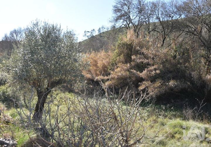 Terra a Ourem, Santarem, Ourem - € 8.400 | Ref: 135068 - foto 1