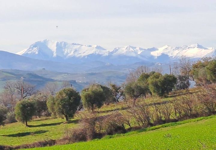 Terra a Massignano, Ascoli Piceno, Massignano - € 60.000 | Ref: 7822 - foto 1