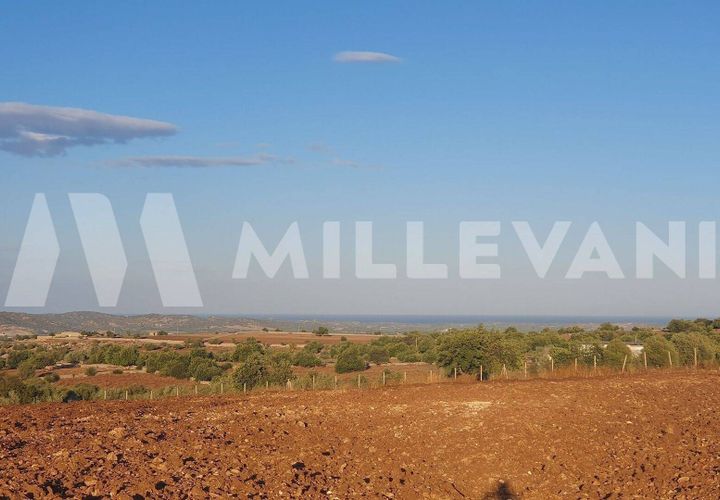 Helårsgrund i Rosolini, Siracusa, Rosolini - € 87.000 | Ref: 1146 - foto 1