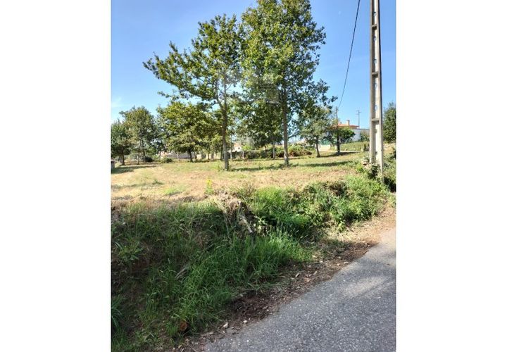 Helårsgrund i Ponte de Lima, Viana do Castelo, Ponte de Lima - € 75.000 | Ref: TER_1795 - foto 1