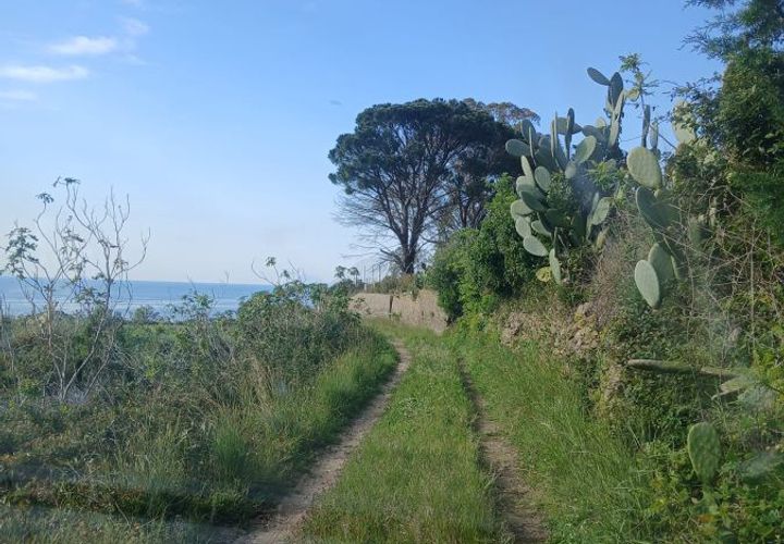 Helårsgrund i Messina, Messina, Messina - € 75.000 | Ref: AUA-8748 - foto 1