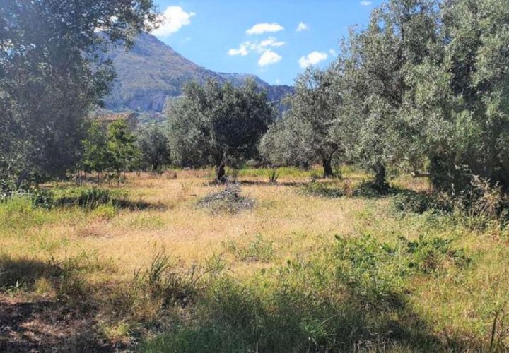 Terra a Partinico, Palermo, Partinico - € 63.173 | Ref: 20948 - foto 1