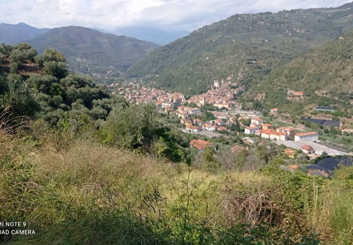 Tomt i Dolceacqua, Imperia, Dolceacqua - € 35 000 | Ref: 1092 - foto 1