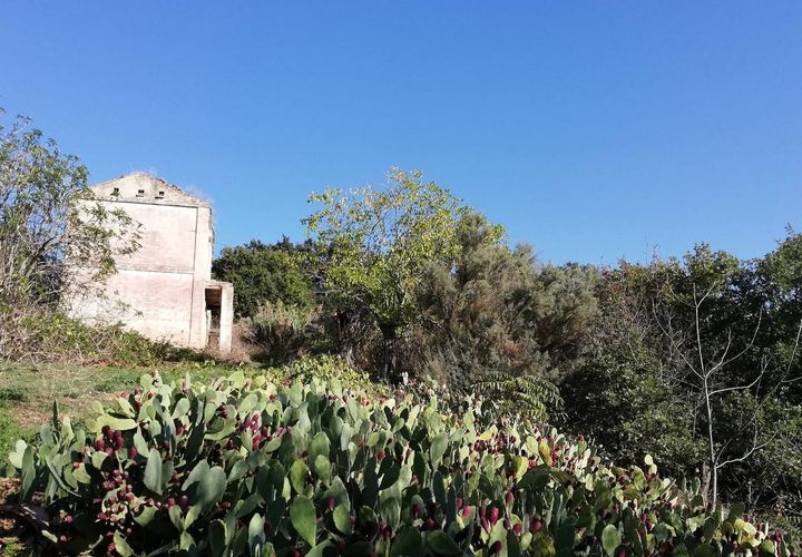 Landejendom i Monteodorisio, Chieti, Monteodorisio - € 40.000 | Ref: MRL - foto 1
