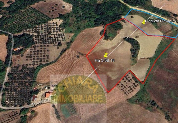 Terra a Lentella, Chieti, Lentella - € 8.000 | Ref: TA48 - foto 1