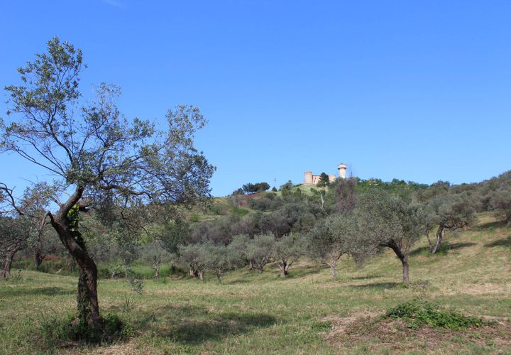 Terra a Monteodorisio, Chieti, Monteodorisio - € 18.000 | Ref: TA61 - foto 1